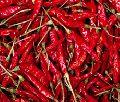 red spices