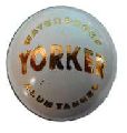 Yorker White Cricket Ball