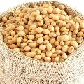 Natural Soybean Seeds