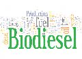 Refined Fuel biodiesel