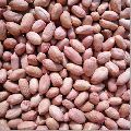 Dried Peanut Kernels