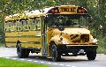 School Bus Body