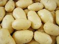 Chipsona 1 Potato