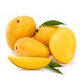 Natural Kesar Mango