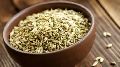 Dried Fennel Seeds