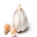 Raw Fresh Garlic