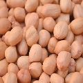Java Peanut Kernels