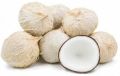 White Coconut