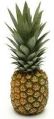 Natural Pineapple