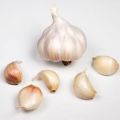 Raw Garlic