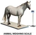 Dog Weighing Scales in Chennai, Tamil Nadu – India Dog Animal Weighing  Machines Manufacturers, Digital Dog Weighing Scales, Weighing Scales for  Dogs, Dog Weighing Machines Suppliers for Dog Stores, Dog Clinics 