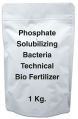 Phosphate Solubilizing Bacteria Technical Bio Fertilizer