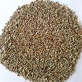 Brown Millet Seeds