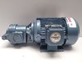 POWERPOINT CI Electrical gear oil motor pump