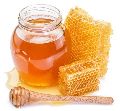 natural forest honey