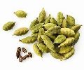 green cardamom