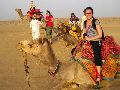 Camel Safari in Jodhpur