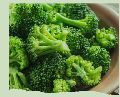 IQF/Frozen Broccoli