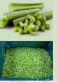 IQF/ Frozen Celery
