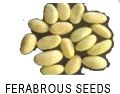Ferabrous seeds