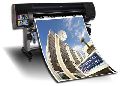 Poster Digital Printing Services