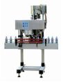 Paint Coated Automatic Screw Capping Machine