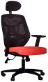 Back Support Chair