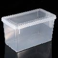 Transparent Plastic Storage Box