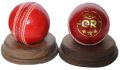 Turbo Cricket Leather Ball