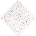 Silicate Ceiling Tile