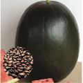 Hybrid Black Watermelon Seeds