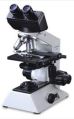 Binocular Microscopes