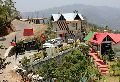 Chail New Year Tour Package