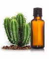 cactus seed oil