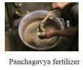 Panchagavya Fertilizer