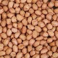 Groundnut Kernels