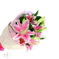 Pink Oriental Lily Flower
