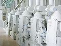 200T/D Rice Mill Plant