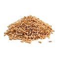 Premium Quality Wheat Grain