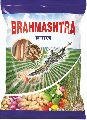 Brahmastra Termite Control