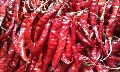 Stemmed Dried Red Chilli