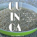 Tek Quinoa Seeds Gluten Free Quinoa (25kg)