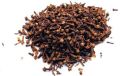 Raw Cloves