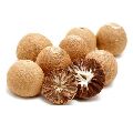 Raw Areca Nuts