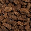 black cardamom