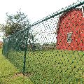 Garden PVC Coated Chain Link Mesh Fence
