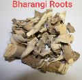 Bharangi Root