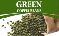 Coffee Beans Common Blended Fermented Floured Powder Beans green coffee bean extract