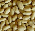 Blanched Peanuts