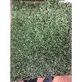 Artificial Turf Grass
